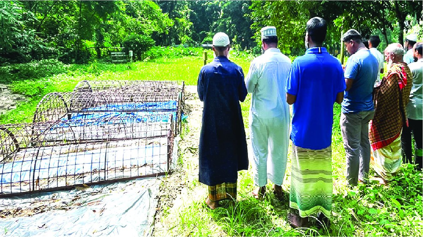 Image of মো: খোকন সরদার